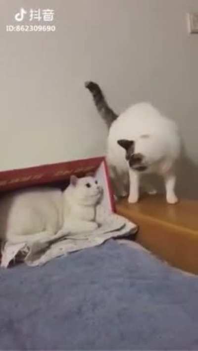 You flinched!