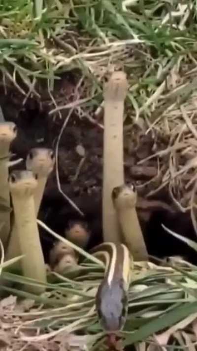 Hello there