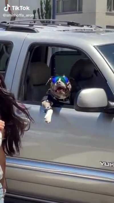 Snoop Paws ?