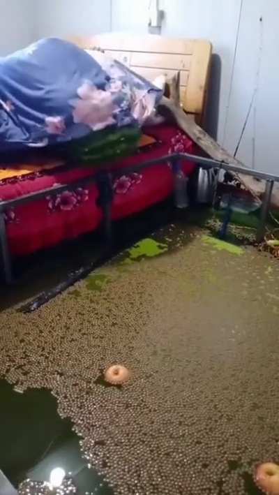 Wake up