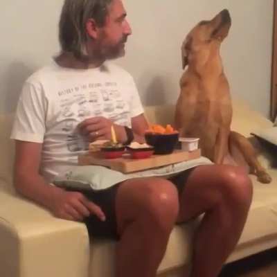 İt is hungry?
