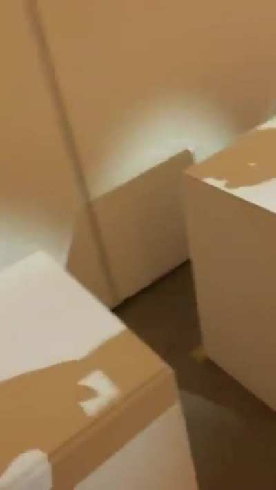 Teruaki Tsubokura's invisible statues