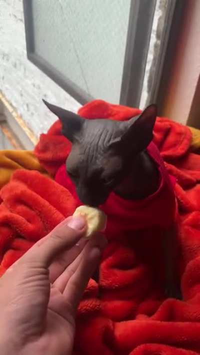 Felix likes bananas