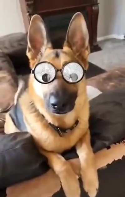 Oh hi there!