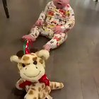 Spins