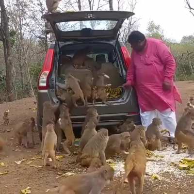 Monkey Jackpot.