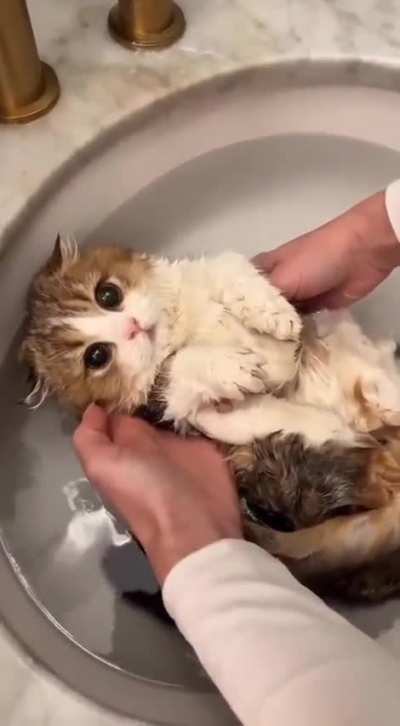 "You wash me, and I'll lie down."