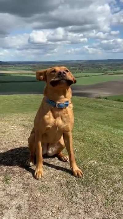 Windy walkies today