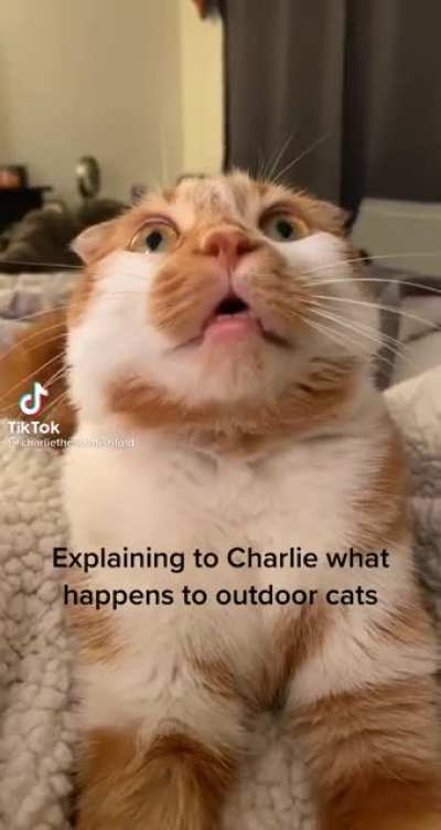 ?