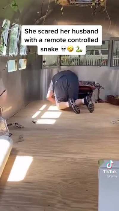 That scream ??