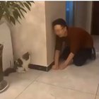 Kitty knew it was coming, still startled...TWICE! ?
