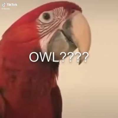 What did you just say?