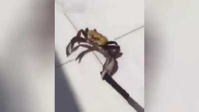 Run.