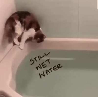 Doing catculations