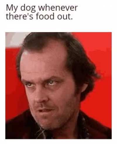 No begging.