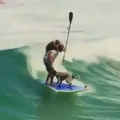 What a move!