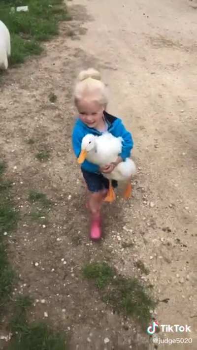 That duck is so calm