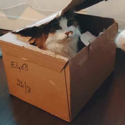 "Yes?"