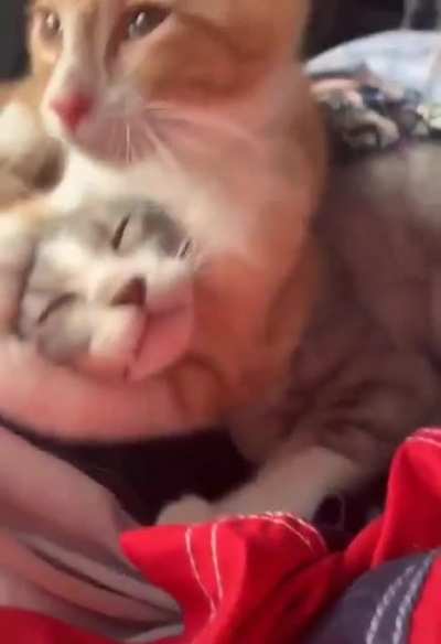 He is in one of his moods.