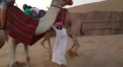 Desert ship