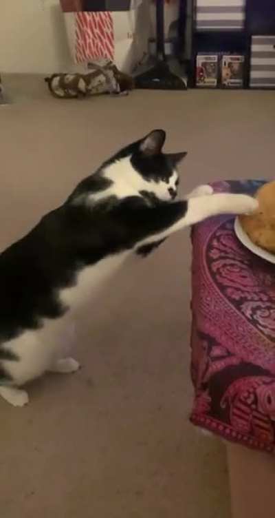 Tap tap