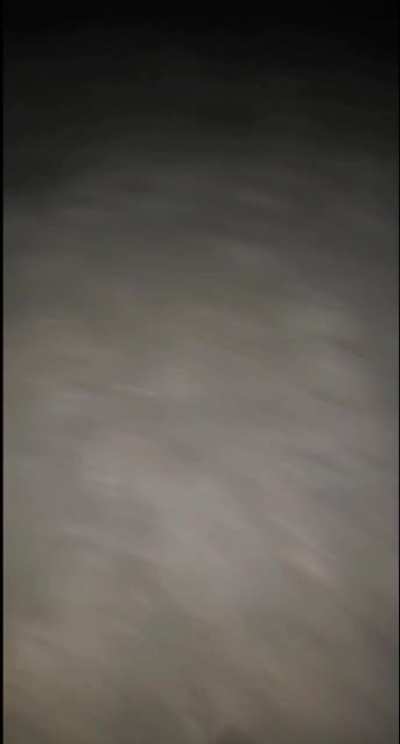 Had a strange walk on the beach last night...