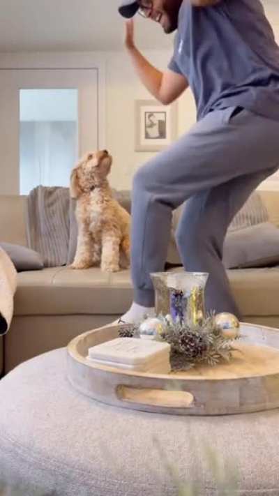 "dance with your dog" is much more wholesome than the "bark at your dog" trend. I'm here for it!
