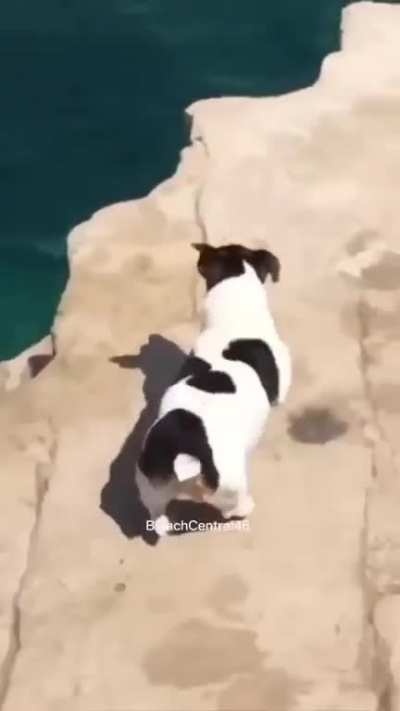 I am freeeeeeeee!!!!