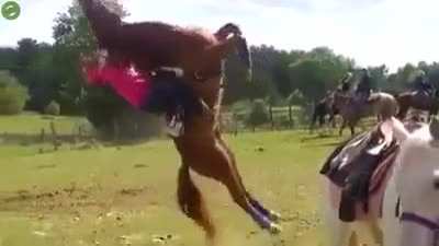 These days wind is so strong