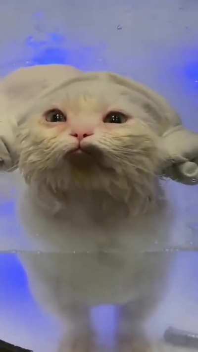 Help me ?