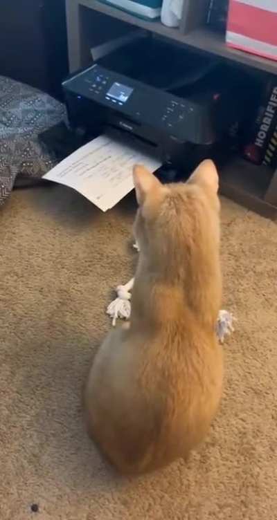 BOO!