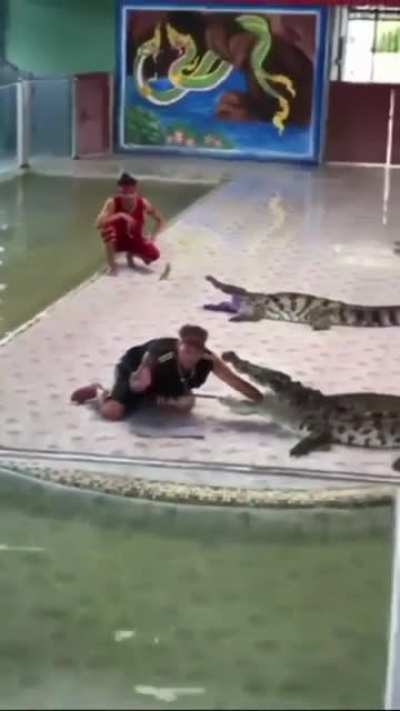 consequences of playing with wildlife