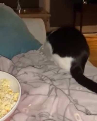 Netflix partner ?