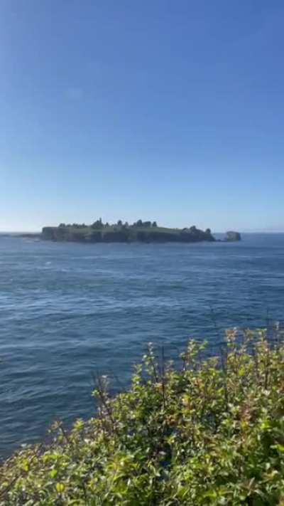 ? Neah Bay Washington