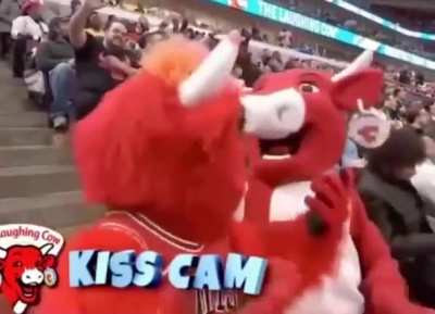 Going rogue on kiss cam