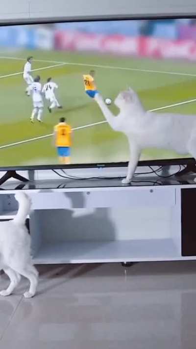 Hand of God