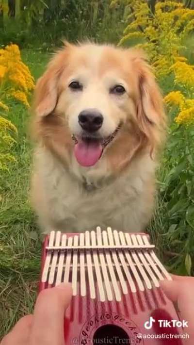 Here comes the sun