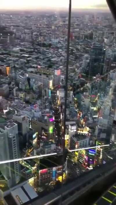 "Birdseye" view of Tokyo at sunset