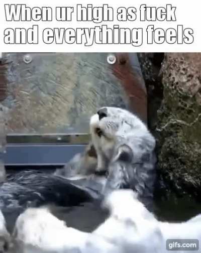 I can feel everything!