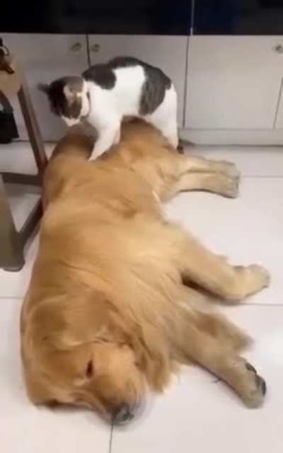 Two best friends got each other's back