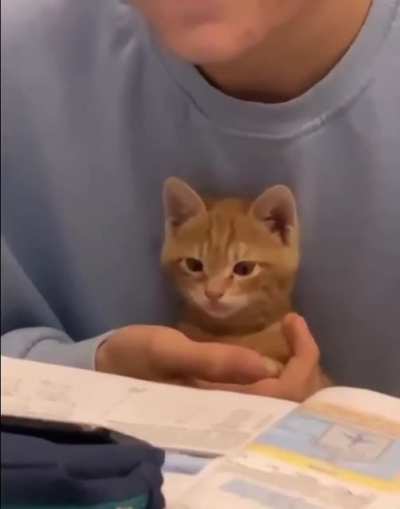 Studying Together!