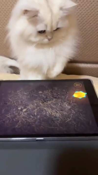 Pro gamer detected...?