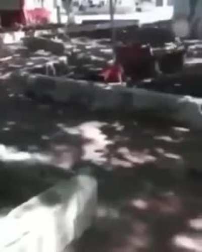 WCGW WHEN YOU TRY TO HELP