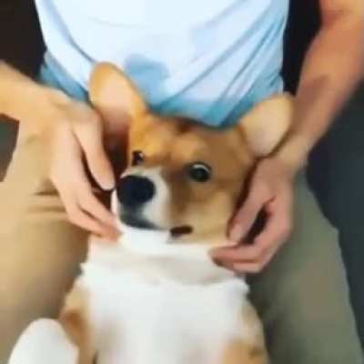 Not the cheeks!