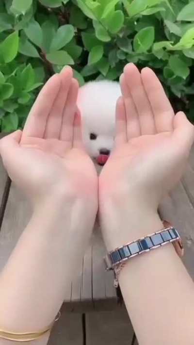 Super cute and funny ??
