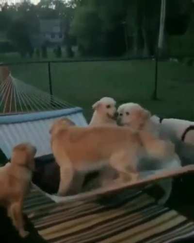 "We can all fit!"