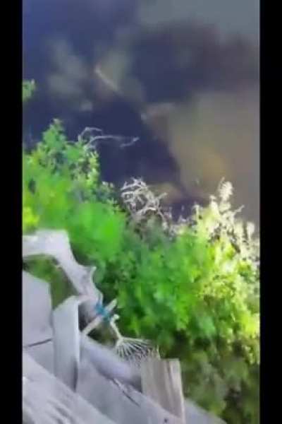 WCGW Swinging