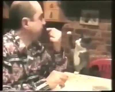 When this deaf man's cat realized that meowing was useless, he learned to communicate with him through signs.