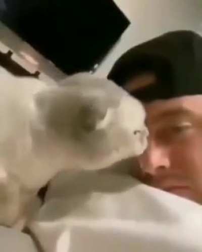 SwerveClips video bzTLqhqWQE