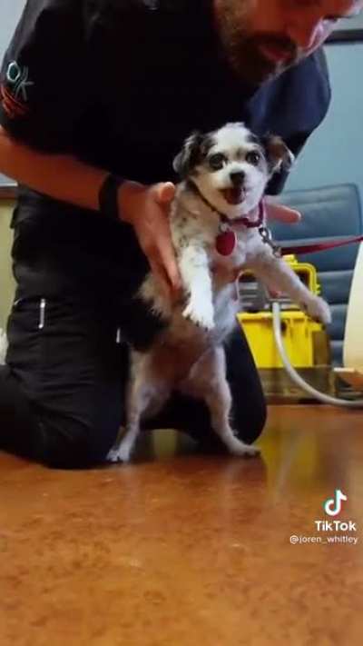 Such a good boii